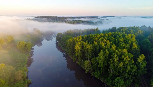 Aerial view of misty river through green forest at sunrise