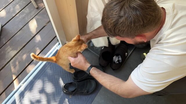 A young man is playing with a little red-haired kitten, the kitten is dancing on the porch of a country house. The joy of having a pet, and a family pet