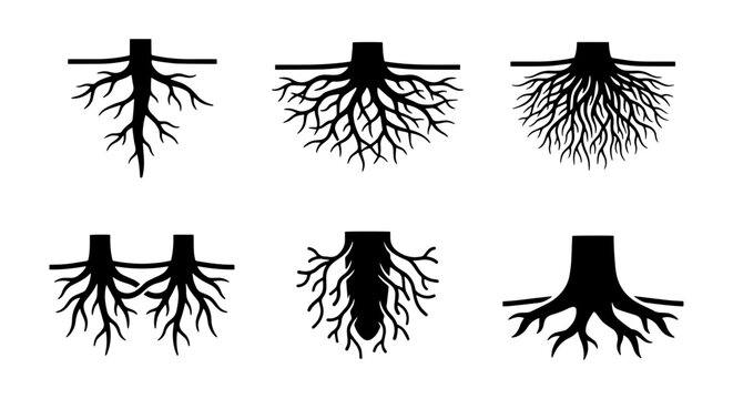 Diverse Tree Root Systems, Plant Growth Stages, Organic Structure Icons