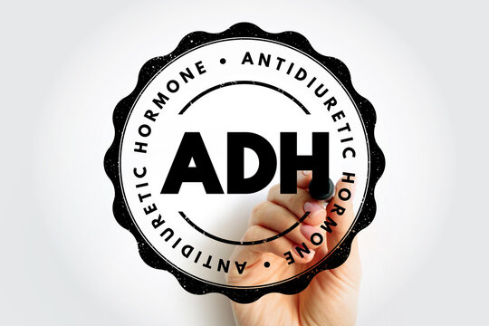 ADH Antidiuretic Hormone displayed inside a circular stamp design emblem, featuring bold typography and a clean medical theme suited for science, biology, hormone and health visuals