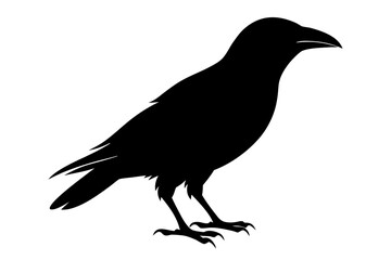 Fototapeta premium Crow raven bird vector illustration, Crow silhouette vector