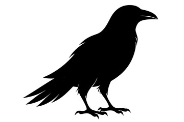 Fototapeta premium Crow raven bird vector illustration, Crow silhouette vector
