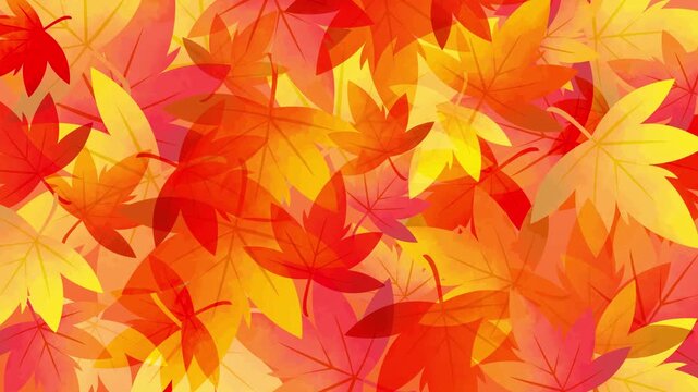 落ちた紅葉が広がるアニメーション　銀杏　もみじ
