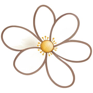 Detailed watercolor illustration of a cute stylized white flower with brown outline and yellow center isolated