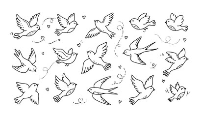 Obraz premium Collection of flying and sitting bird outline illustrations showing different poses and natural movements