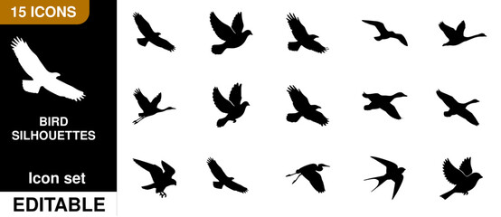 Fototapeta premium Fifteen black bird silhouettes in various flight poses, featuring diverse avian species, isolated on a white background for