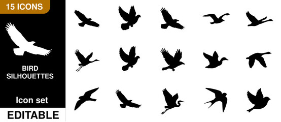 Fototapeta premium Set of fifteen black bird silhouettes in flight, featuring diverse avian species and wing positions, isolated on a clean white background
