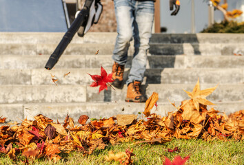 Naklejka premium Fall yard cleanup with a leaf blower in a residential area