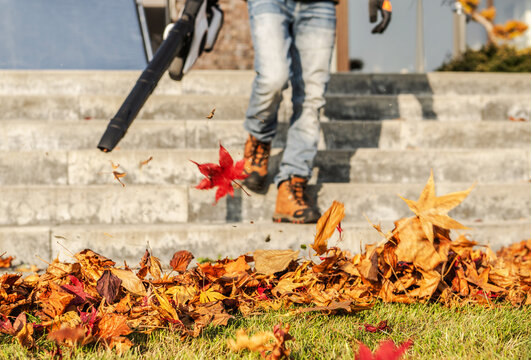 Fall yard cleanup with a leaf blower in a residential area