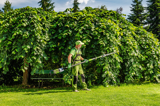 Gardener trimming green plants under a large leafy structure