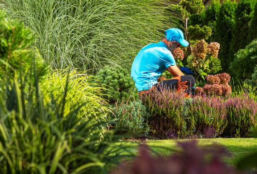 Person working in a garden surrounded by plants and flowers on a sunny day