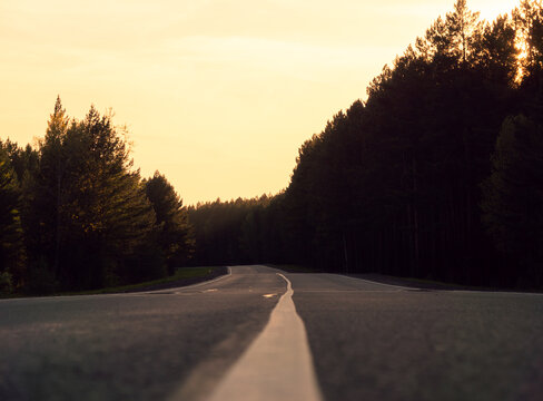 Curving asphalt road leads into a dense pine forest under a warm golden hour sunset sky