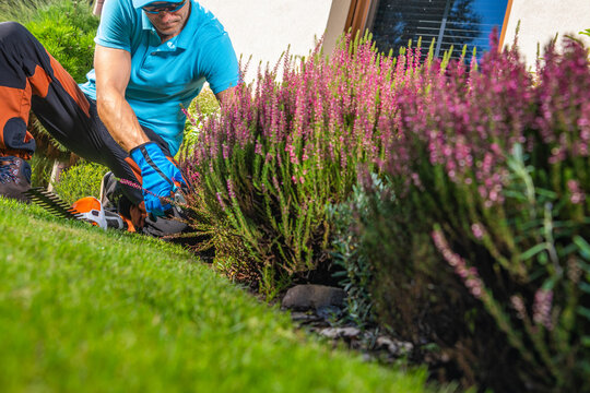 Gardener works on flower beds in a residential yard in the afternoon