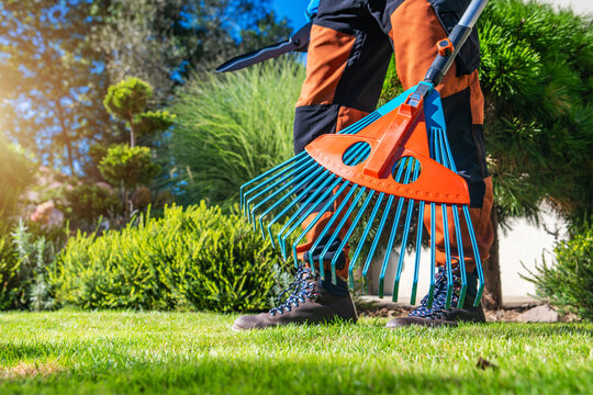 Person raking leaves in a garden during a sunny day