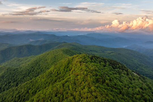 Morning forest in North Carolina Appalachian mountains, USA. American nature in summer season