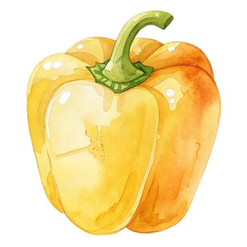 Detailed watercolor illustration of a fresh ripe yellow bell pepper isolated