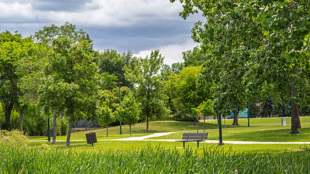 Scenic Urban Park with Green Trees, Walking Paths, Benches, and Summer Landscape Under Cloudy Sky