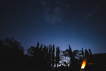 Obraz premium Starry night sky tree silhouette camping tent starry night sky above dark tree silhouette and glowing camping tent, creating peaceful outdoor scene beneath clear celestial backdrop