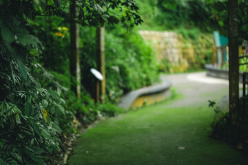 Obraz premium Garden path greenery foliage walkway nature outdoor park leaf tree blurred garden path with lush green foliage and soft focus background for peaceful natural landscape scene
