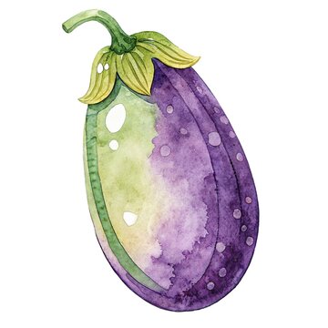 Detailed watercolor illustration of a fresh ripe purple and green eggplant isolated