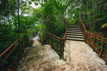 Obraz premium Forest stair walkway railing tropical green tree path nature park concrete stair and metal railing through lush tropical woodland, peaceful outdoor trail for hiking, travel, and scenic exploration
