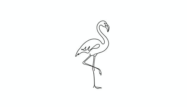 Minimalist continuous one line drawing of a graceful flamingo standing on one leg on white background.