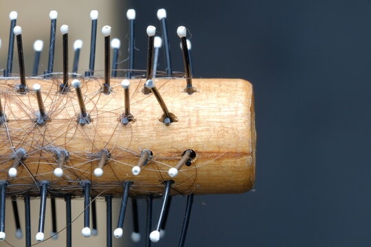 Wooden hairbrush bristles with pin tips in macro view