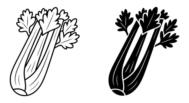 Fresh green celery stalk vegetable vector illustration
