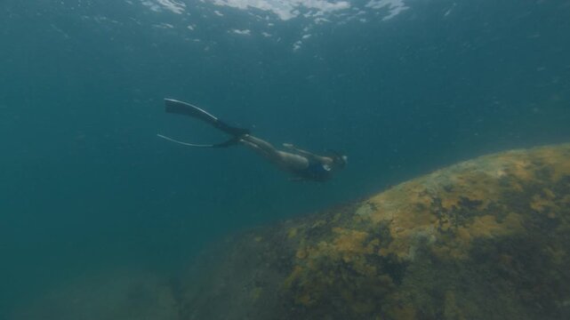 Young slim woman swims underwater, freediving and snorkeling in the sea near the coral reef near the island of Ilha Grande in Brazil