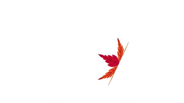 Single Red Maple Leaf Floating Centrally Through a Clean White Background with Refined Autumn Movement Prores Alpha 4K 60 fps