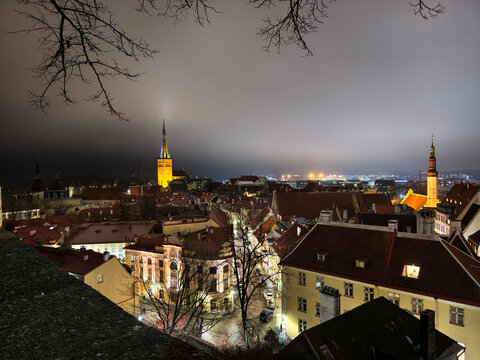 High angle night view of Tallinn Old Town skyline framed by tree branches, illuminated St. Olaf's Church spire and Town Hall tower in Estonia.