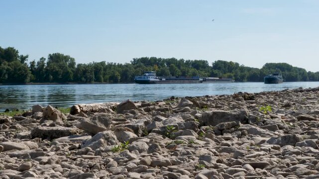 Banks and riverbed of Rhine river in Walluf, Germany. Extraordinary low water level after a long period of drought in 2026.