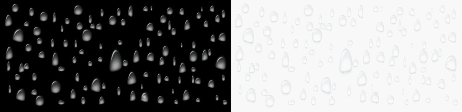 Realistic water drops on a transparent background, condensation on the surface with light reflection and shadow, vector, png, 3D effect.	
