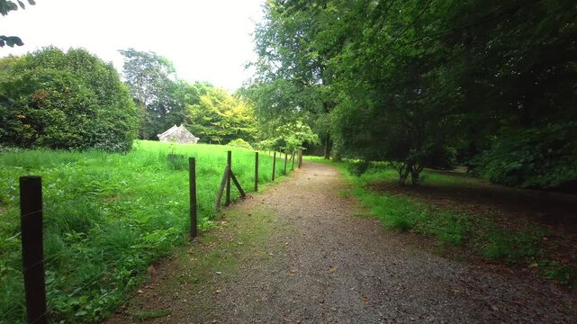 A smooth, real-time first-person point-of-view shot walking along a gravel path flanked by dense green rhododendron bushes at Lanhydrock Estate in Cornwall, United Kingdom, on 24.08.2024