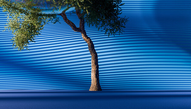 A tree with curved trunk casts shadows against a rippling blue wall