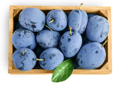 fresh blue plum in wooden box isolated on white background. Top view. Flat lay