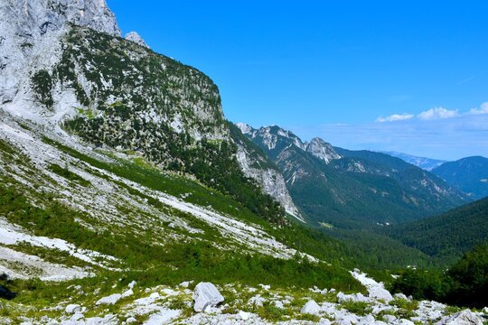 Mountain landscape with rock scree and alpne vegetation in summer above Krnica valley in Jullian alps, Gorenjska, Slovenia