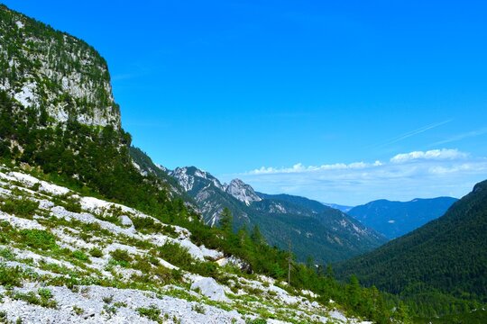 Rocky mountain landscape with alpine vegetation above forested Krnica vally in Julian alps, Gorenjska, Slovenia