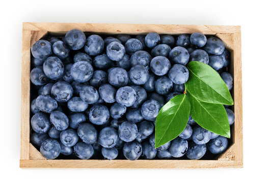 blueberry in wooden box isolated on white background. Top view. Flat lay