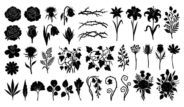 Gothic Floral Silhouette Collection with Dark Roses Thorny Branches Ivy Vines Wild Thistles and Creepy Plants for Spooky Halloween Vector Graphic Designs