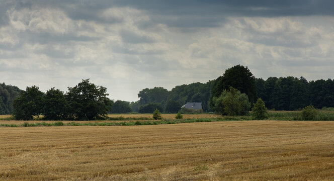 The meadows and fields of the Żuławy region before an approaching afternoon storm.