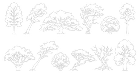 Fototapeta premium Minimalist tree line art set, 12 outline deciduous and evergreen tree icons, simple nature vector illustrations for architectural site plans