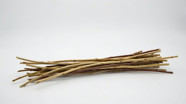A bundle of dry wooden twigs isolated on white background