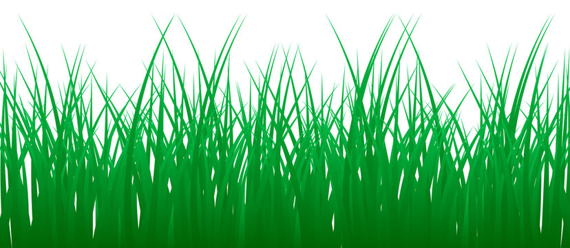 Green grass realistic image