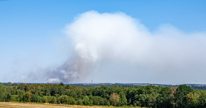 dangerous forest fire because of extreme weather change.