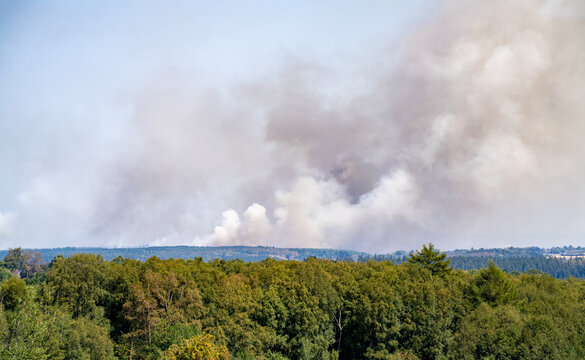 dangerous forest fire because of extreme weather change.