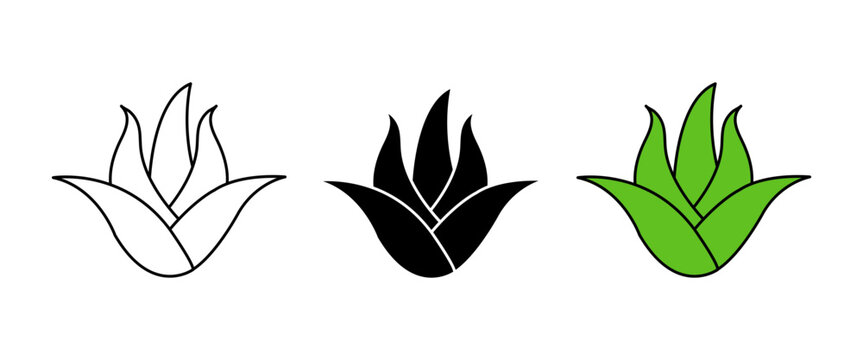 Aloe Vera icon set in Thine outline, black and colored style. Healing Agave Line Icon.