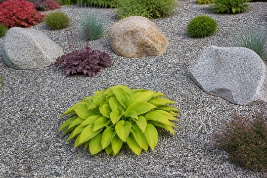 Decorative rock garden with various plants and gravel ground cover