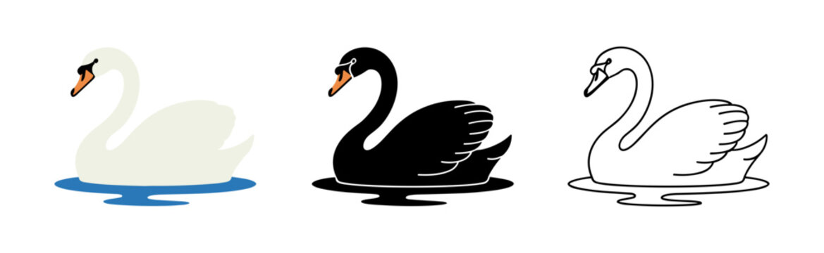 Elegant Swans in Water: A triptych showcasing the beauty of swans in water, featuring a classic white swan, a striking black swan, and a minimalist line drawing of a swan.