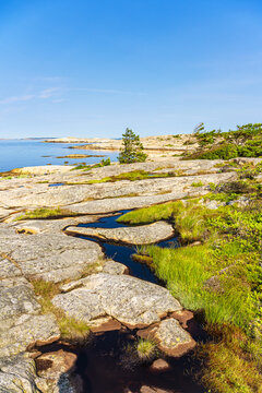 Felsen und B&auml;ume an der K&uuml;ste der Insel Ross&ouml; nahe Str&ouml;mstad, Schweden